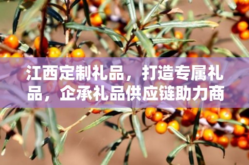 江西定制礼品，打造专属礼品，企承礼品供应链助力商务之选