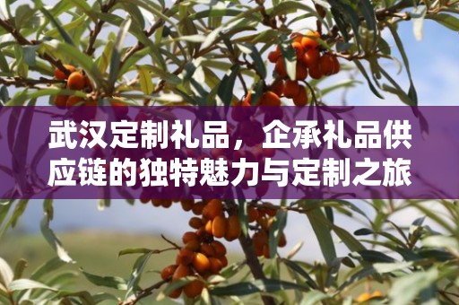 武汉定制礼品，企承礼品供应链的独特魅力与定制之旅